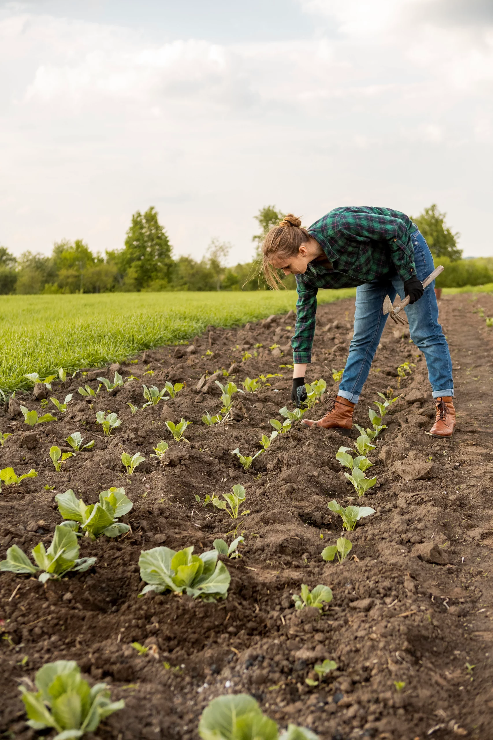 Persona controlando su cultivo